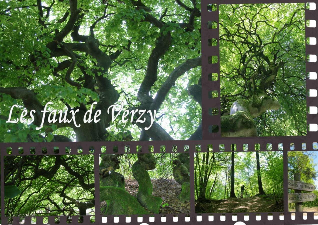 Bedinreims "Burgundy Bottle" 110M2 Exceptional, 4 Chambres Doubles, 2 Bain, Free Park & Wifi, Tout Equipe Eksteriør bilde